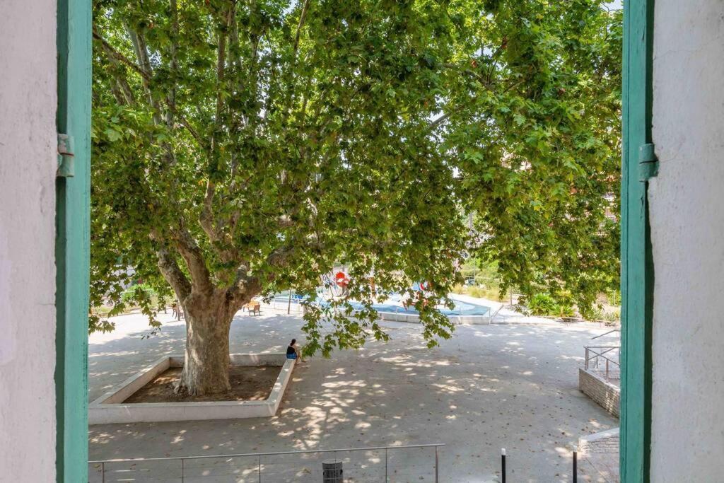 Le Vallombrosa T2 Cannes Dış mekan fotoğraf