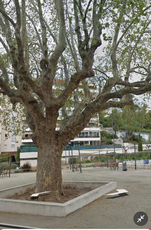 Le Vallombrosa T2 Cannes Dış mekan fotoğraf